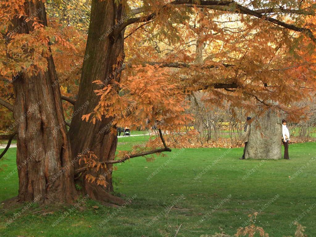 Ausztriai - Természet - Ősz a parkban