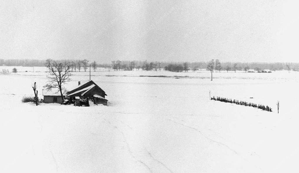 Tájkép – Bugacpuszta télen
