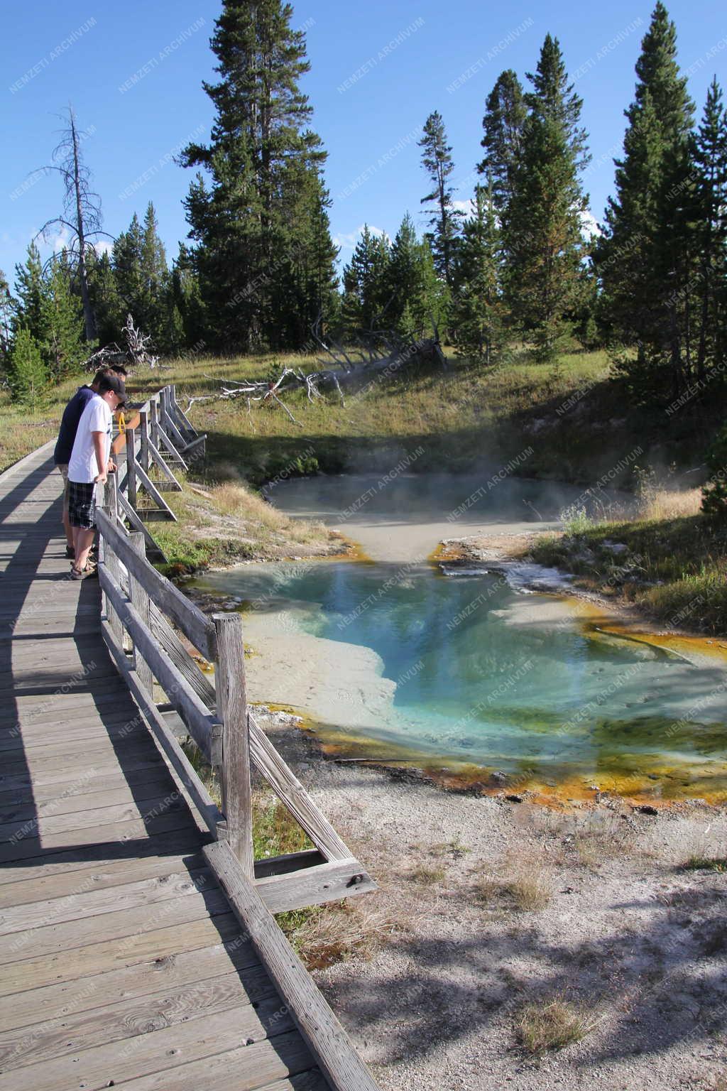 Természet - Yellowstone Nemzeti Park