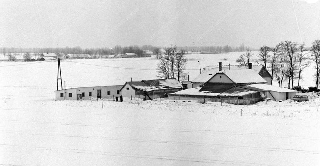 Tájkép – Bugacpuszta télen