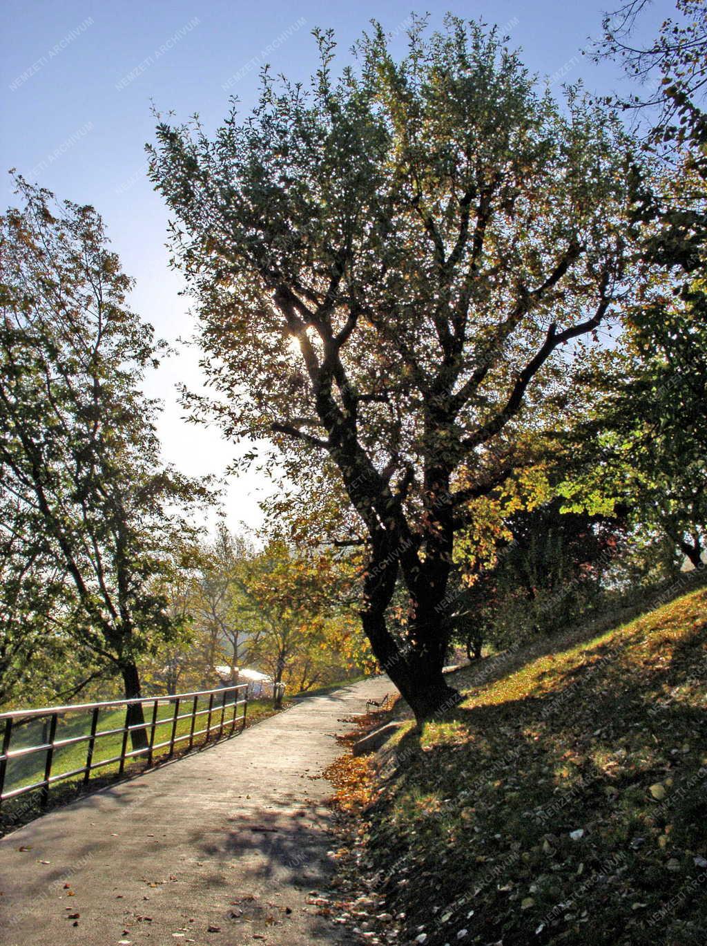 Budapest - Őszi Tabán