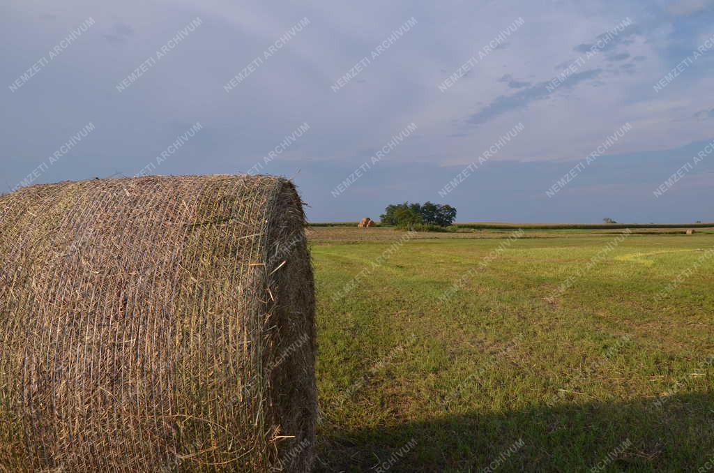 Mezőgazdaság - Szalmabála egy hajdúnánási tanya határában