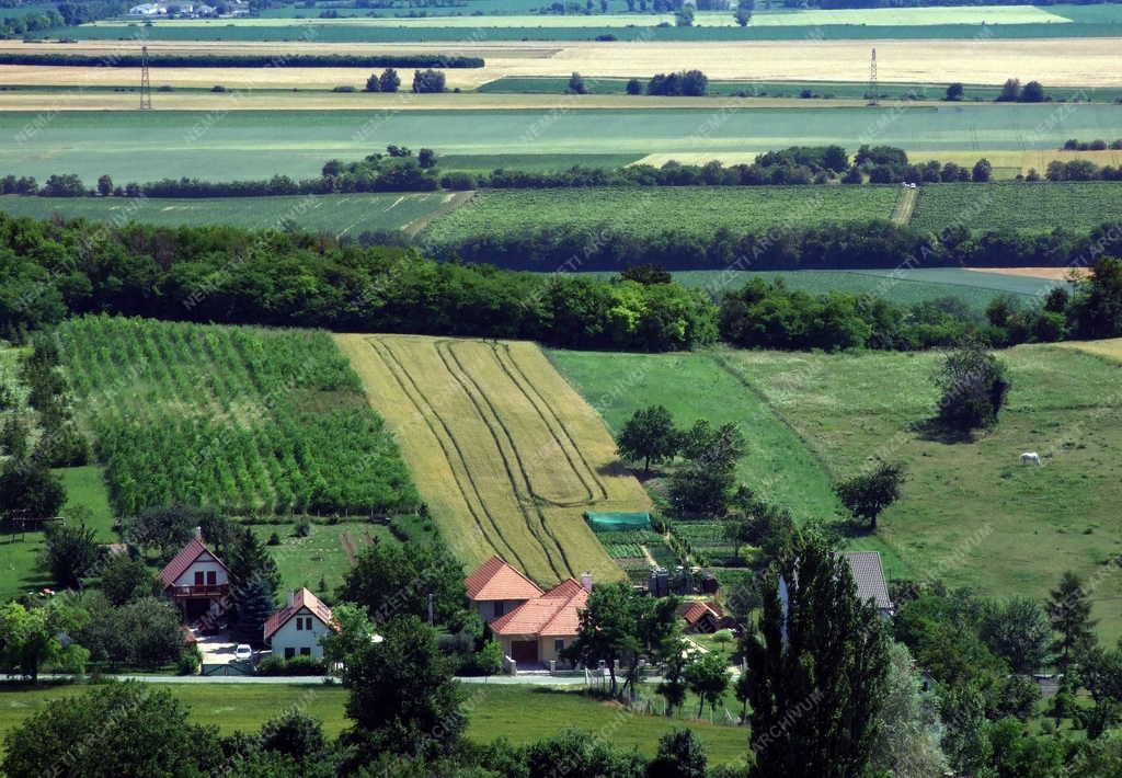 Tájkép - Pannonhalma - Lakóházak a külvárosban