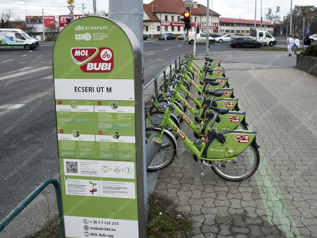 Közlekedés - Budapest - Mol Bubi közösségi kerékpárok az Ecseri útnál