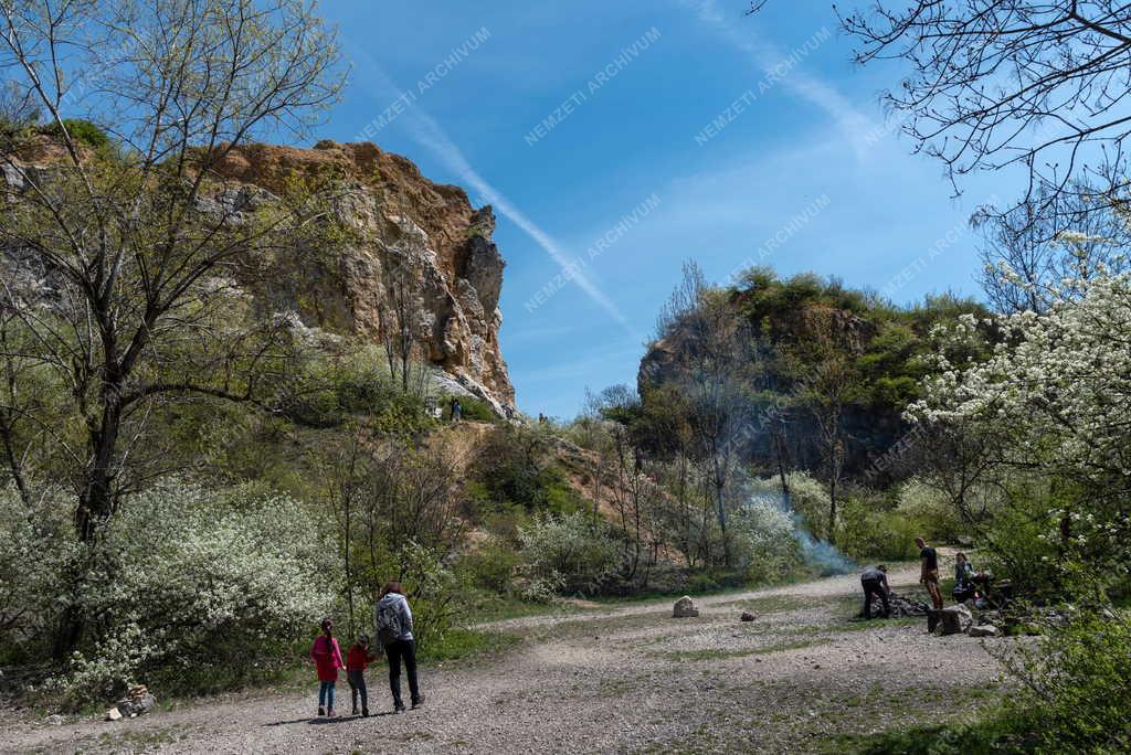 Természet - Budapest - Róka-hegyi kőfejtő