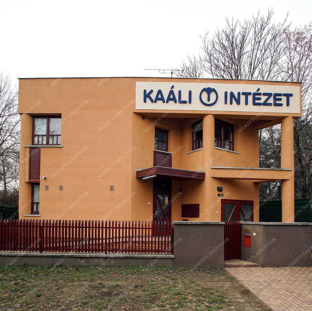 Egészségügy - Debrecen - Új Kaáli Intézet 