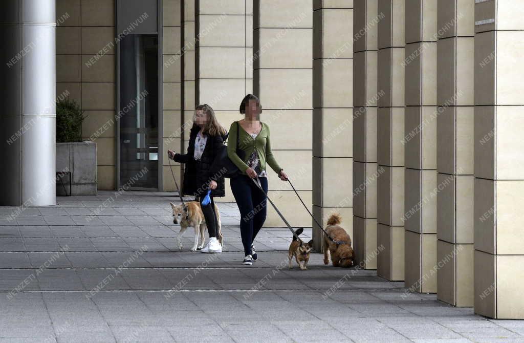 Városkép - Oktatás - Budapesti Corvinus Egyetem C épület