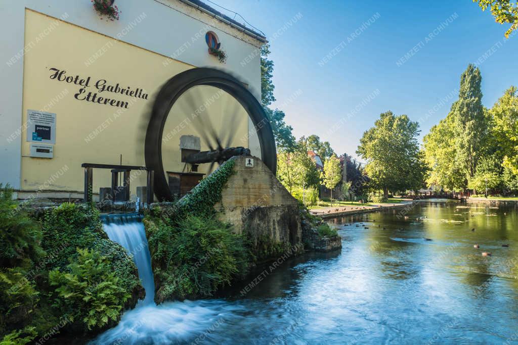 Vendéglátás - Tapolca - Vízimalom étterem a Malom-tó mellett 