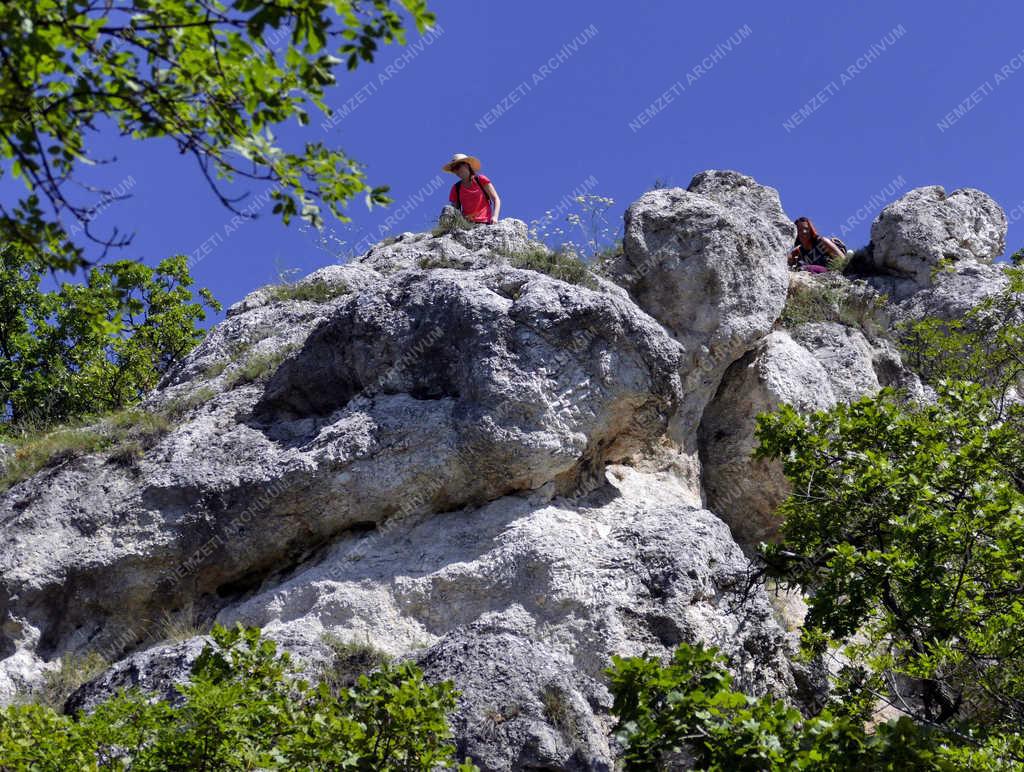 Belföldi turizmus - Pilisborosjenő - Természetjárók a Nagy-Kevély-hegyen