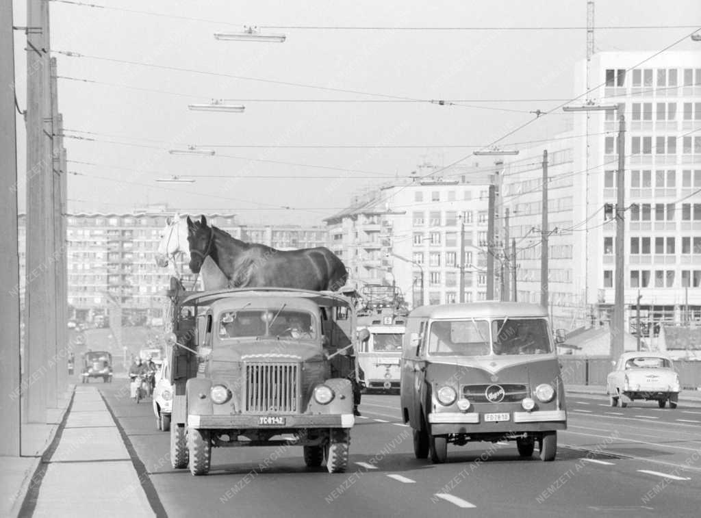 Városkép-életkép - A Petőfi híd forgalma