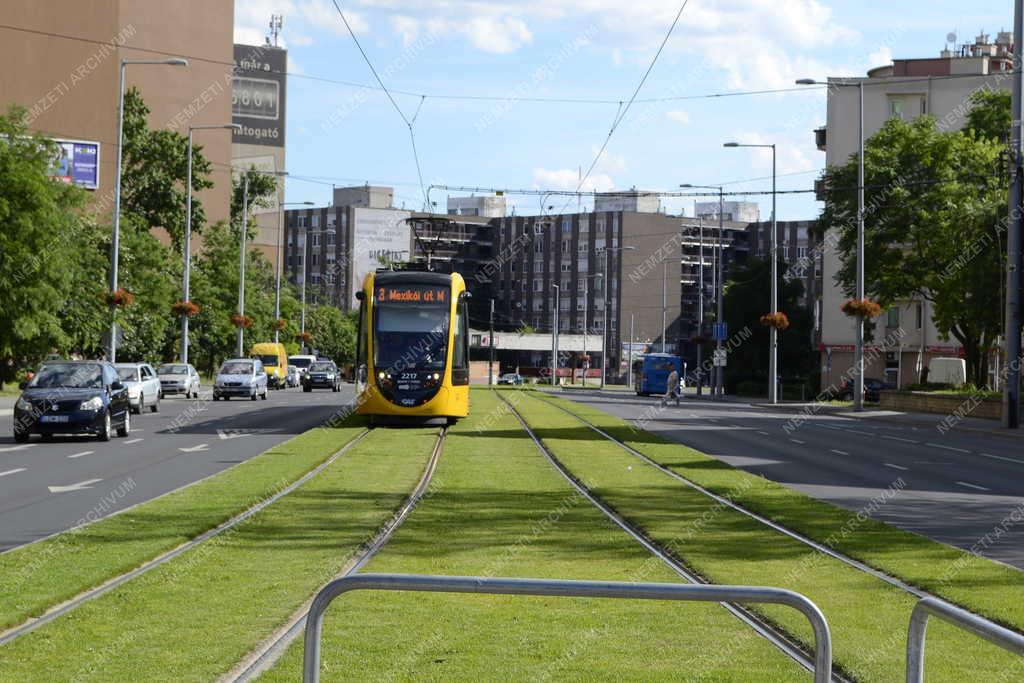 Közlekedés - Budapest - Füvesített villamospálya