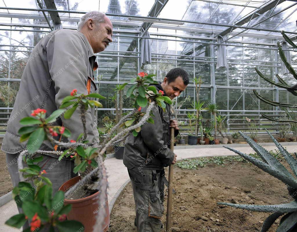 Épület - Debrecen - Új üvegház a botanikus kertben