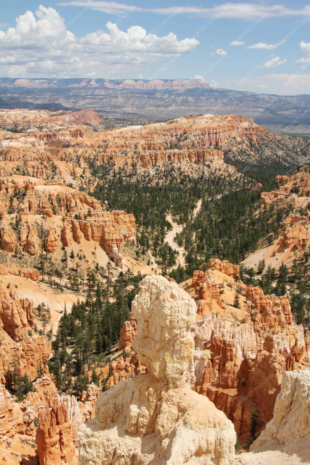 Tájkép - A Bryce Canyon Nemzeti Park látképe