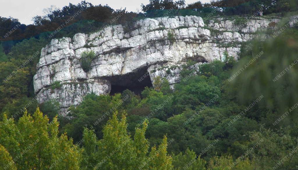 Természet - Tatabánya - Szelim-barlang