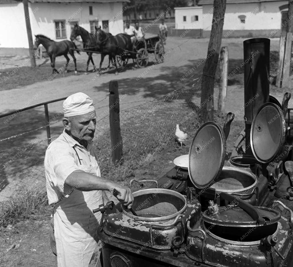 Mezőgazdaság - Közétkeztetés - Üzemi konyha a termelőszövetkezetben