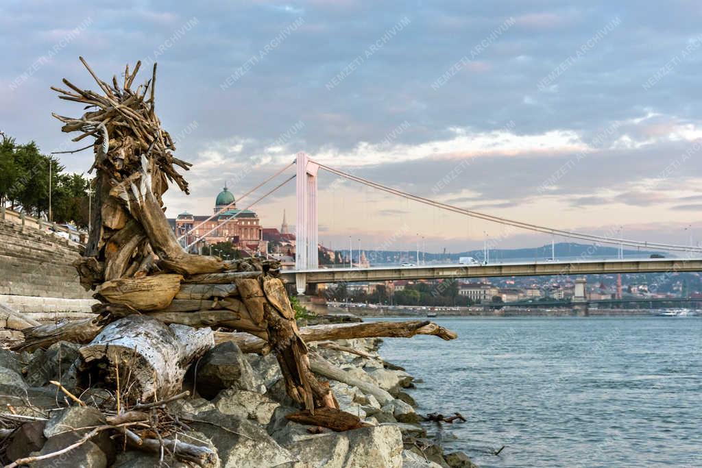 Városkép - Budapest - Uszadékfából készített szobor