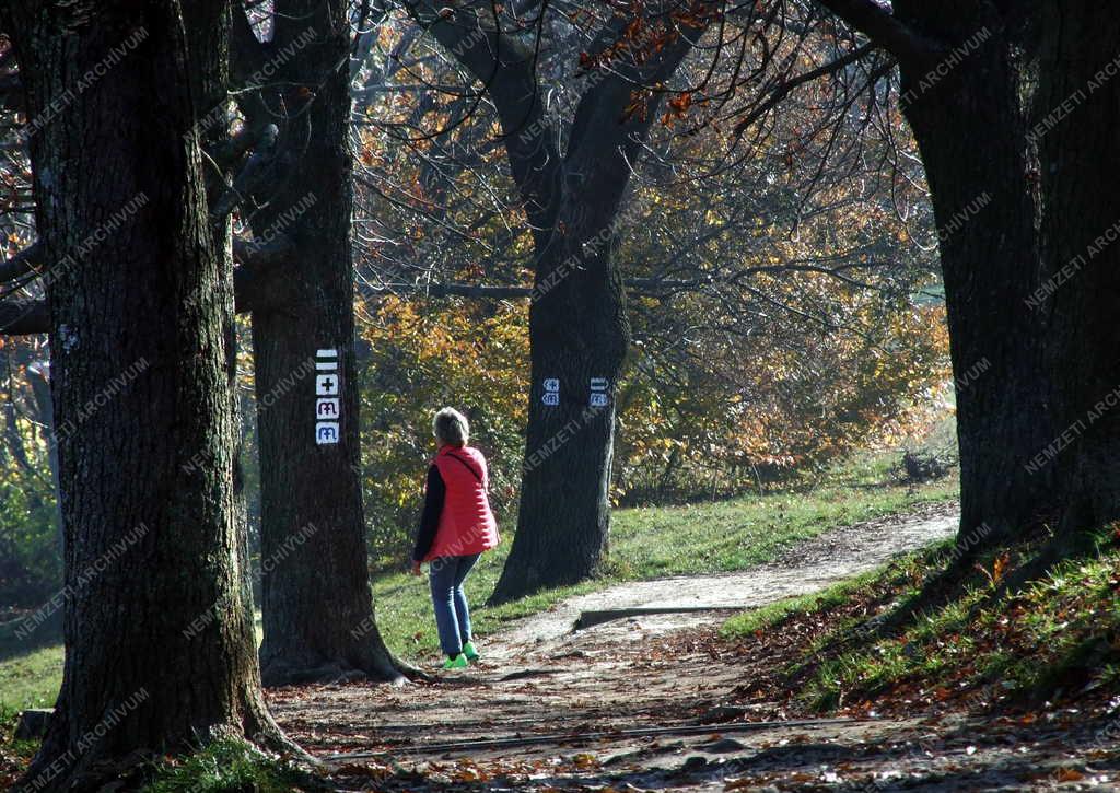 Szabadidő - Budapest - Turista a Normafánál