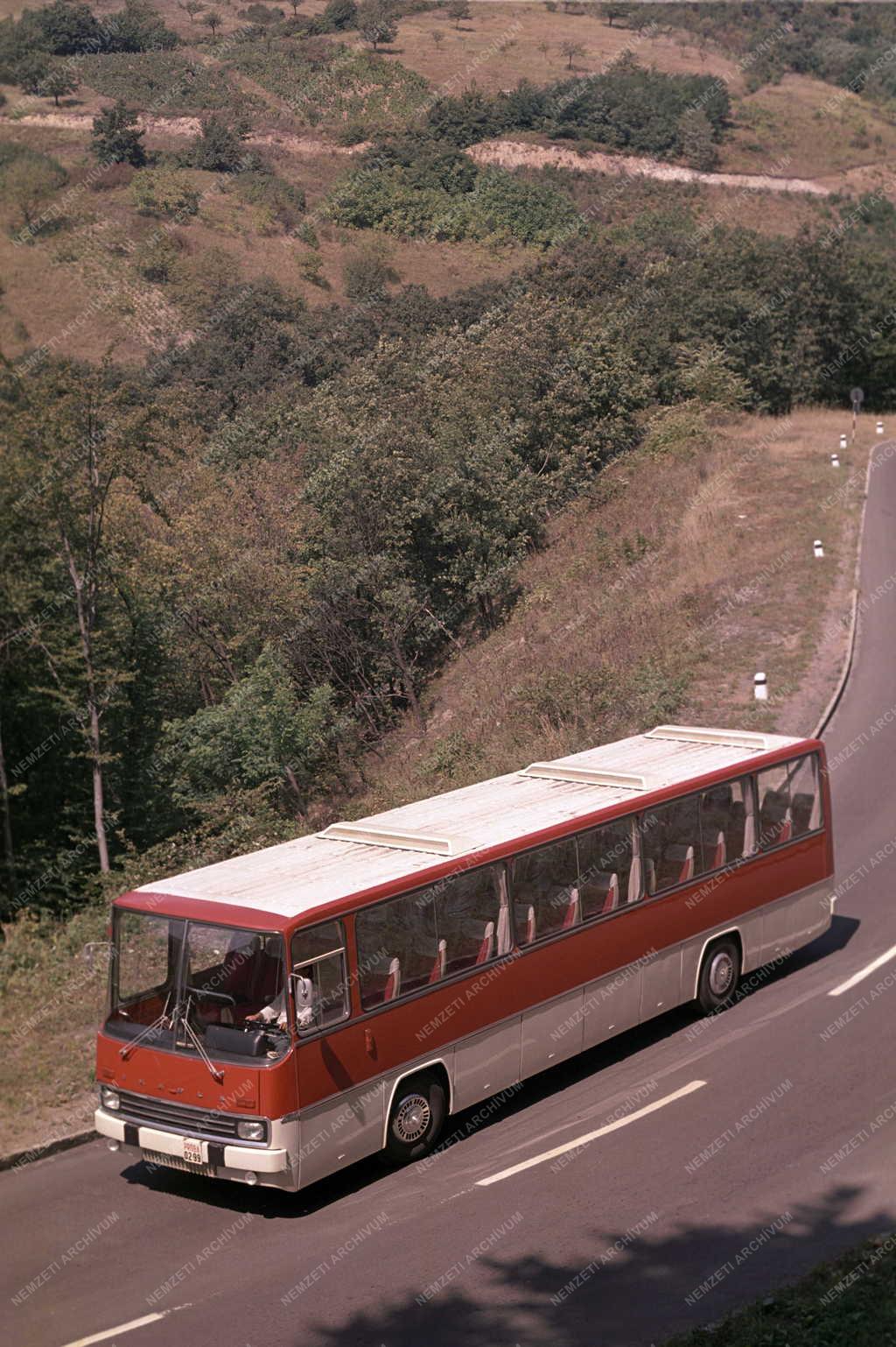 Közlekedés - Ikarus busz próbaúton a Dunakanyarban