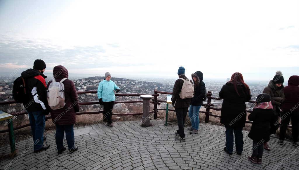 Természet - Budapest - A Sas-hegyi természetvédelmi terület