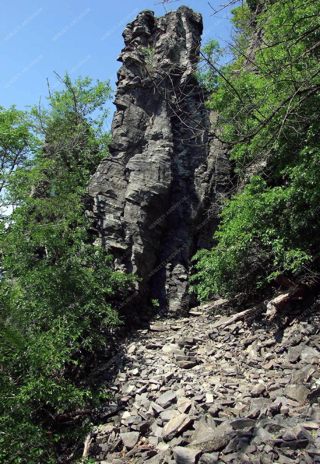 Tájkép - Badacsony - Bazaltorgonák 