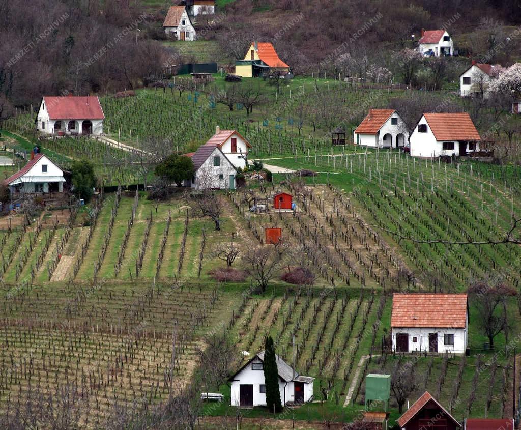 Városkép - Szekszárd - Présházak a borvidéken