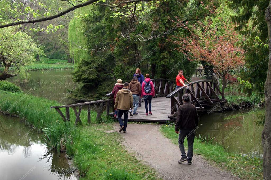 Természet - Vácrátót - Tavasz az arborétumban