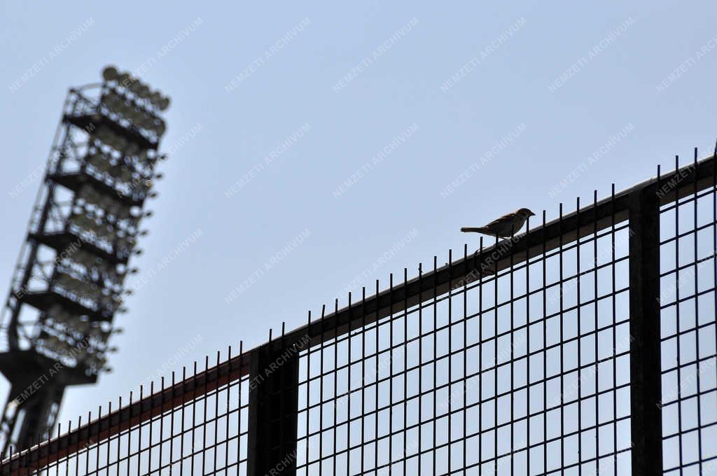 Sport - Budapest - Nyolcvan éves a Bozsik Stadion