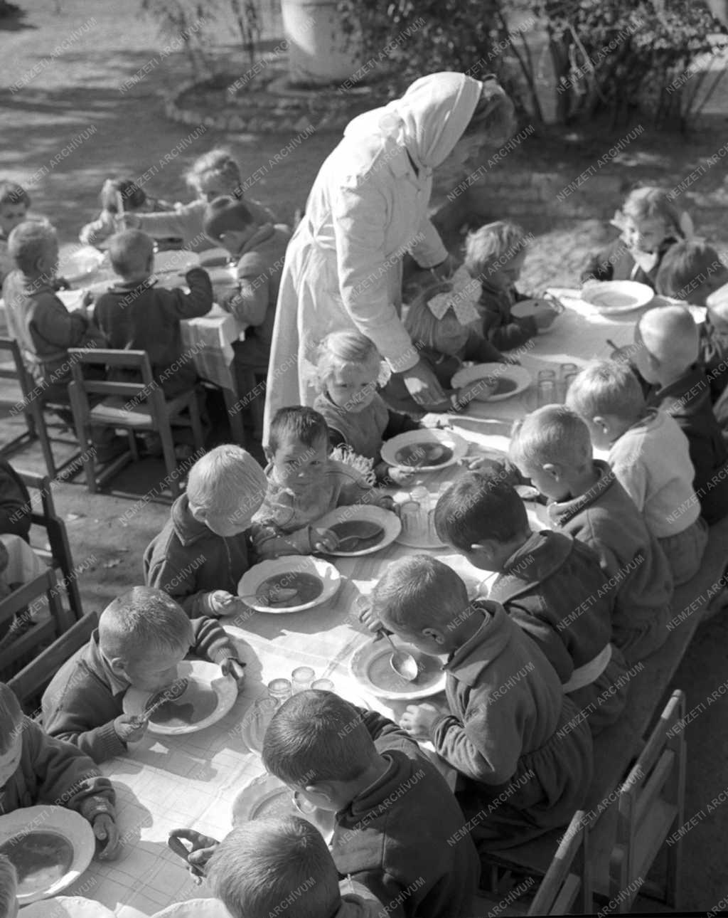 Mezőgazdaság - Fejlődik a sződi Haladás Termelőszövetkezet