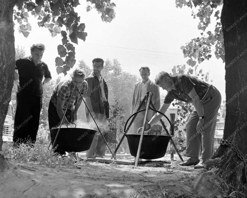 Mezőgazdaság - Halászati Termelőszövetkezetek Központi Intézőbizottsága