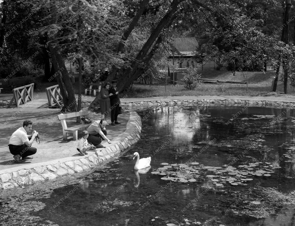 Természet - A miskolctapolcai park