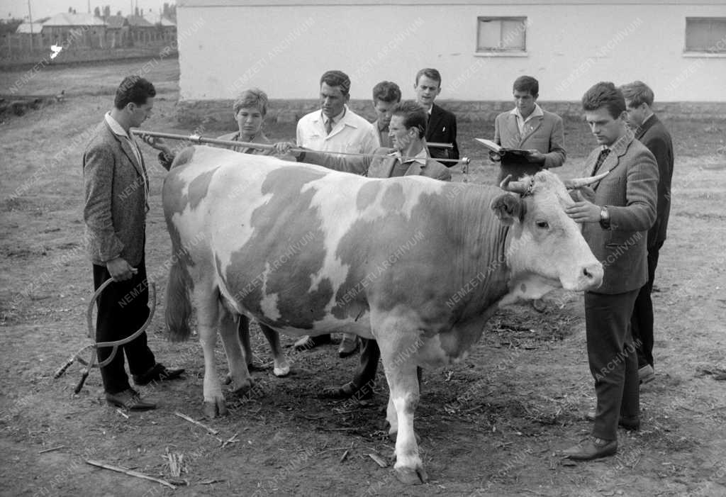 Oktatás - Mezőgazdasági mérnökképzés az Agrártudományi Főiskolán