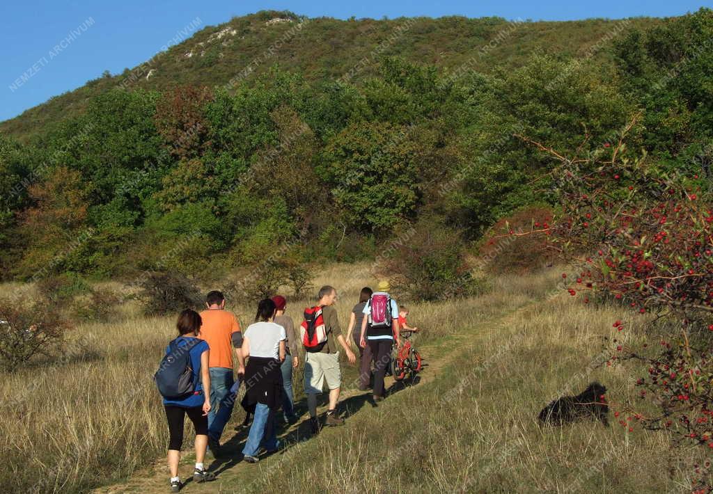 Táj - Turisták a Hármashatár-hegyen