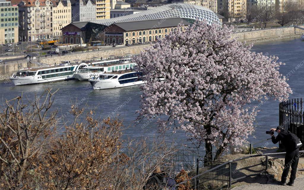 Idegenforgalom - Turistákat szállító külföldi hotelhajók újra a Duna folyón Budapestnél