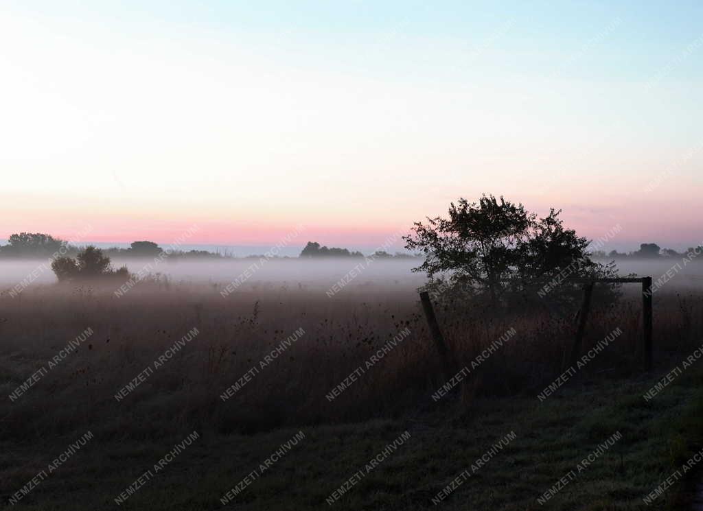 Tájkép - Természet - Ősz a Hortobágyon