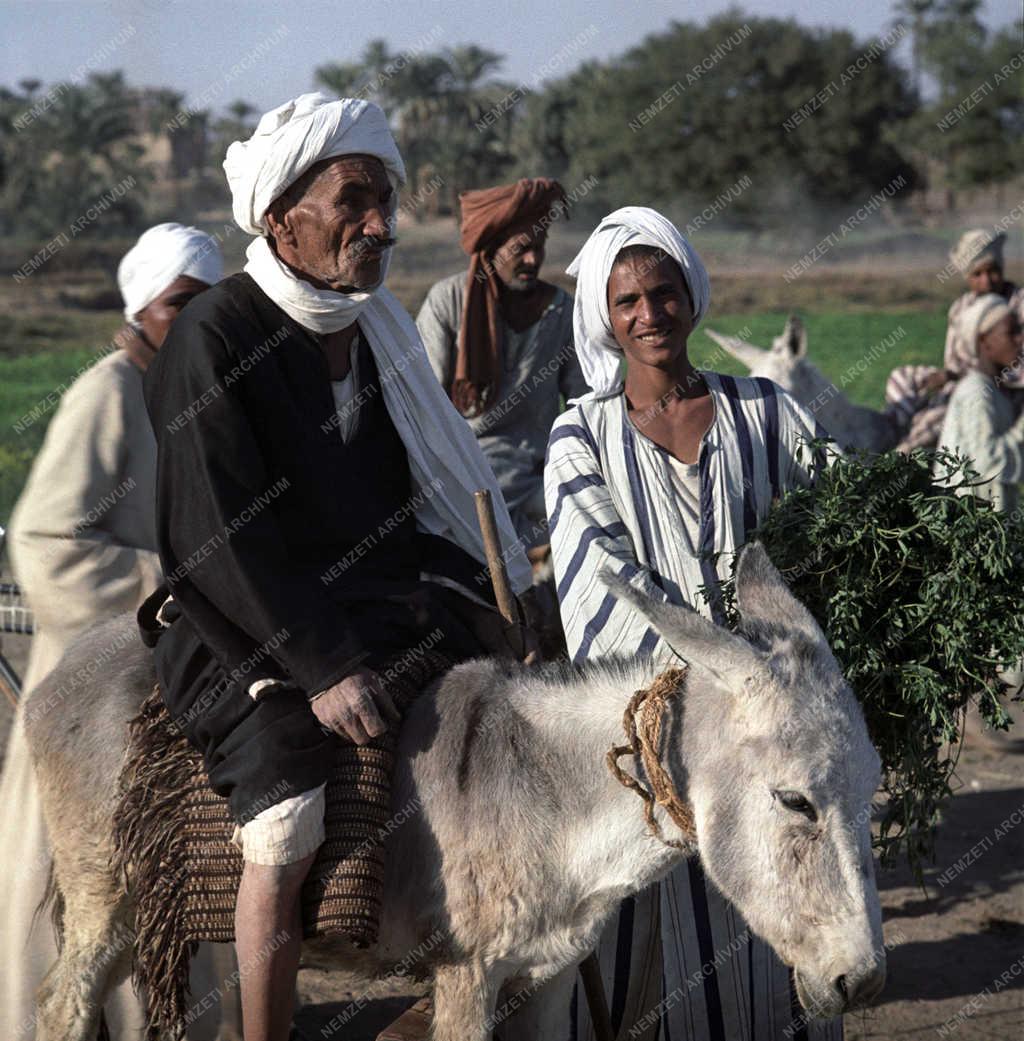 Életkép - EAK - Egyiptom - Parasztemberek