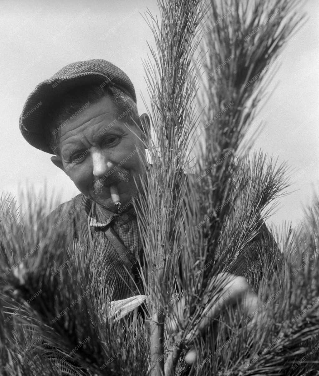 Természetvédelem - Vértesi Állami Erdőgazdaság Agostyáni Arborétum