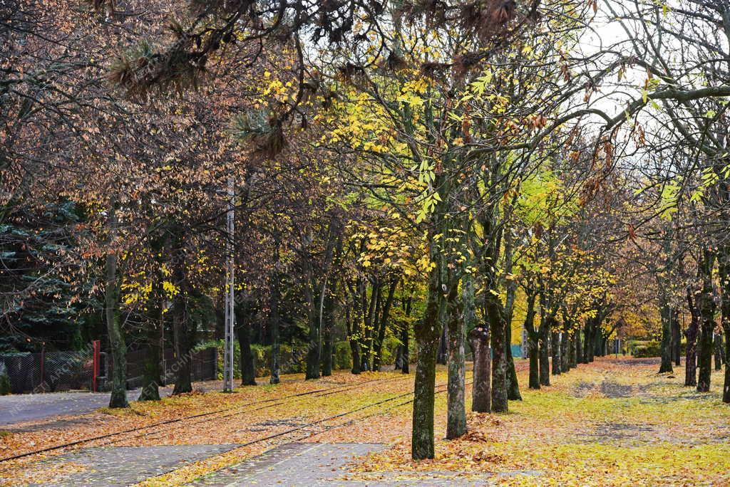 Tájkép - Közlekedés - Gyöngyös–Mátrafüred keskeny nyomközű vasút vonal