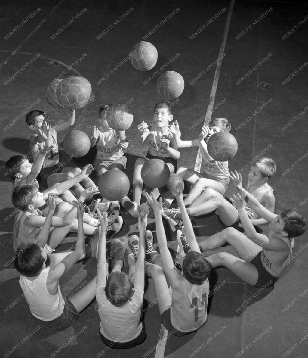 Sport - Oktatás - XI. kerületi Sportiskola