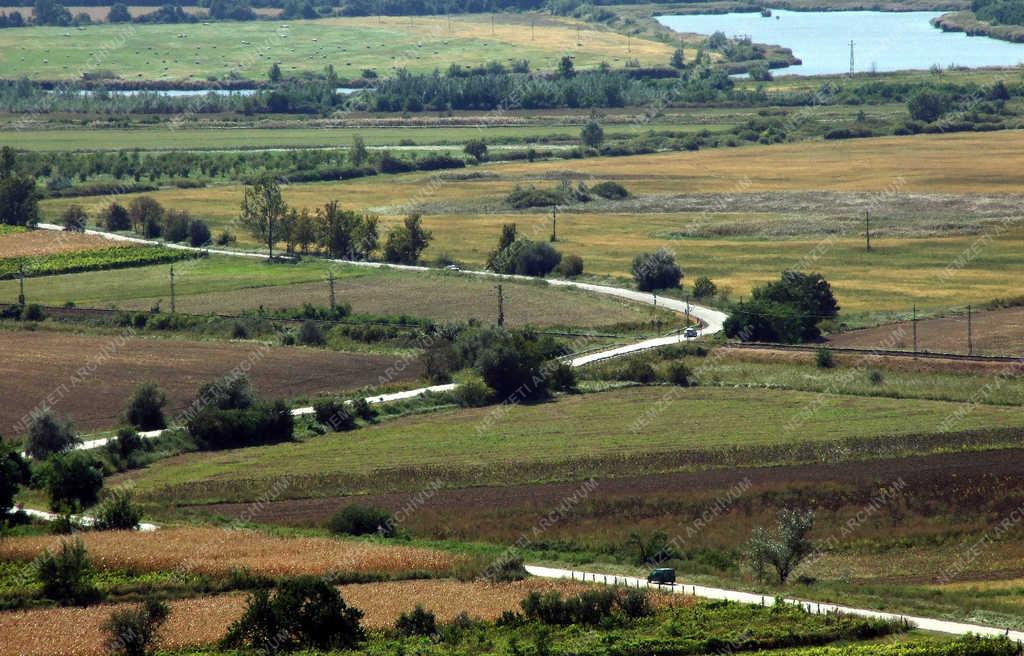 Közlekedés - Tarcal - Kanyargós közút a település határában