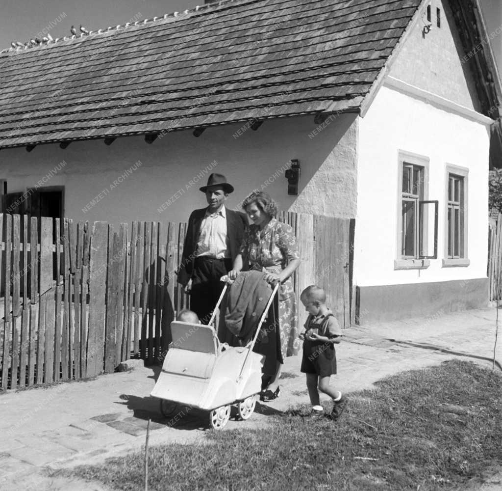 Életkép - Szabó József, a makói József Attila Tsz tagja