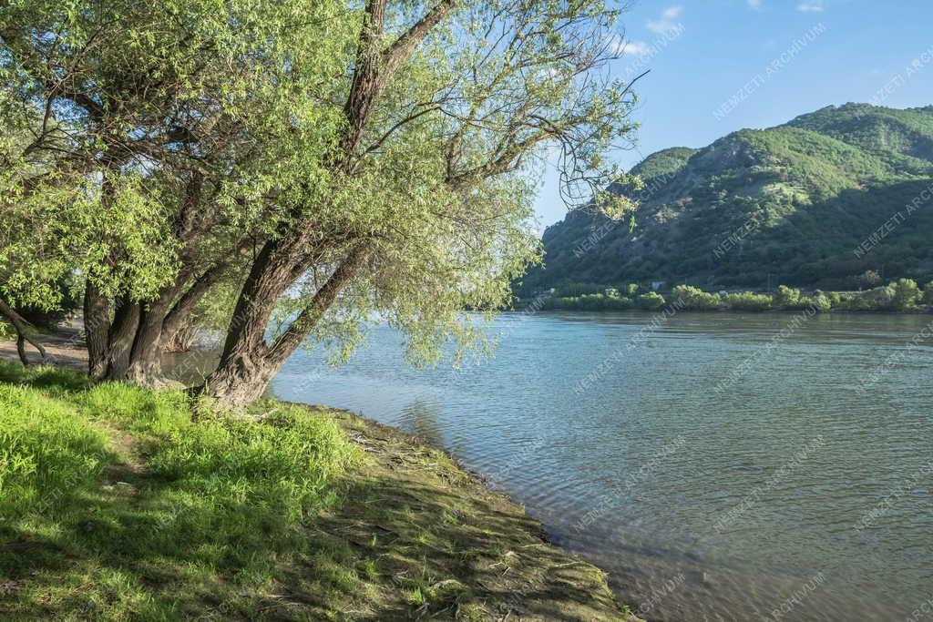 Tájkép - Dömös - A Dunakanyar Dömös térségében