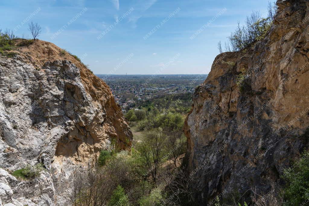 Természet - Budapest - Róka-hegyi kőfejtő