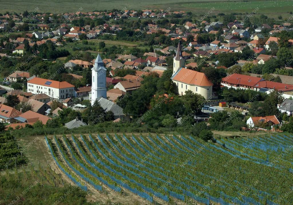  Településkép - Tarcal - A falu központja szőlőtáblák szomszédságában