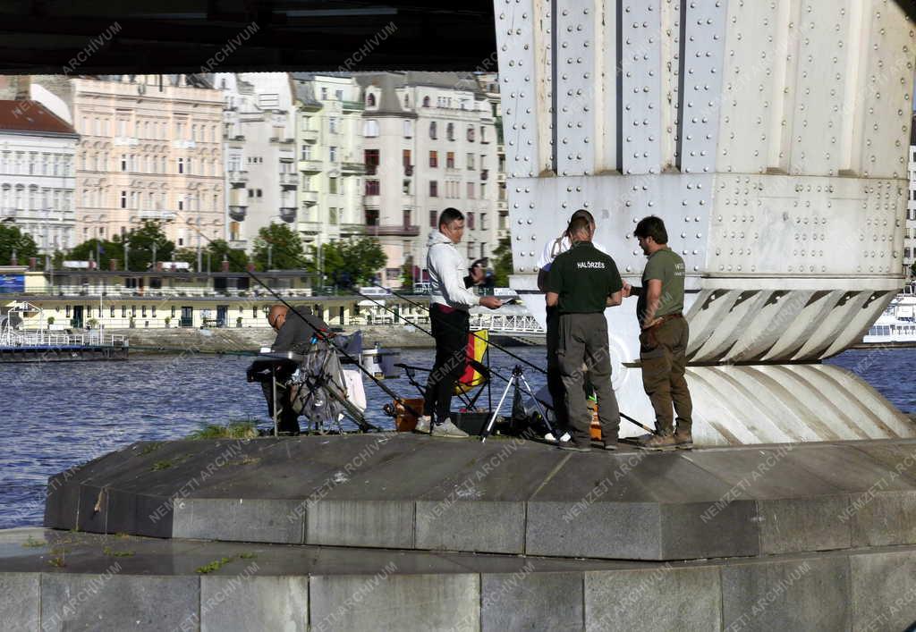 Szabadidő - Budapest - Sporthorgászok az Erzsébet hídnál