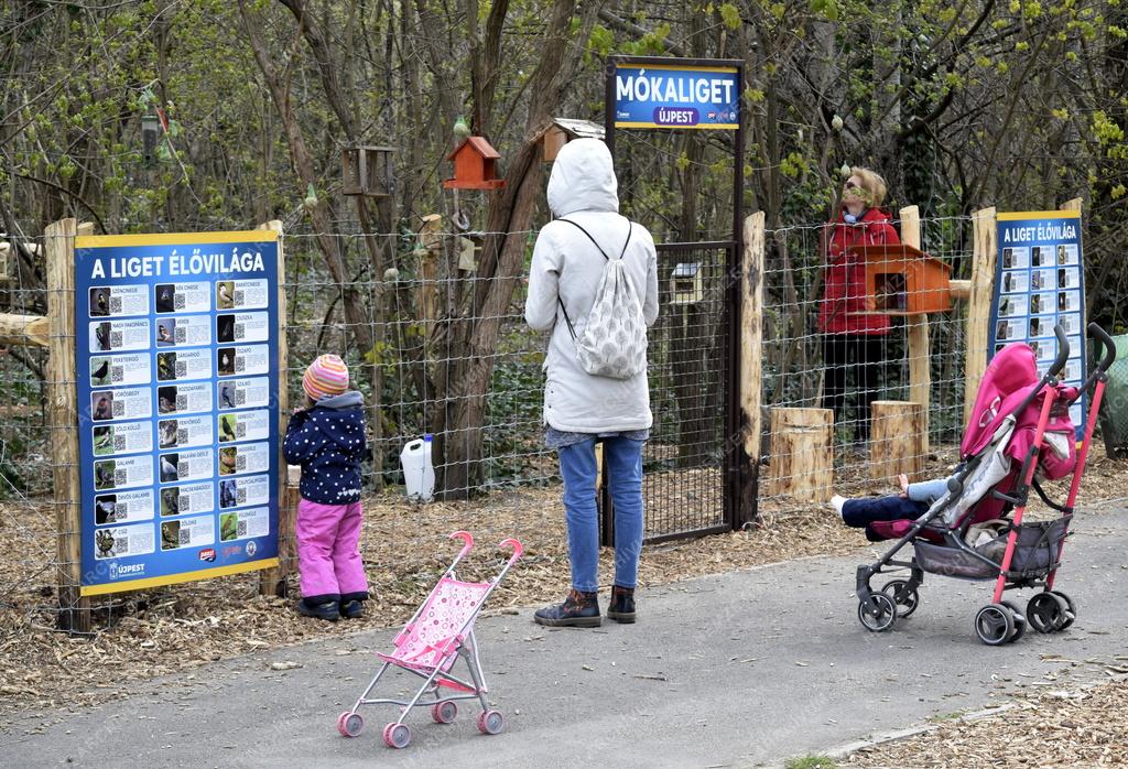 Természetvédelem - Budapest - Mókaliget létesült Újpesten