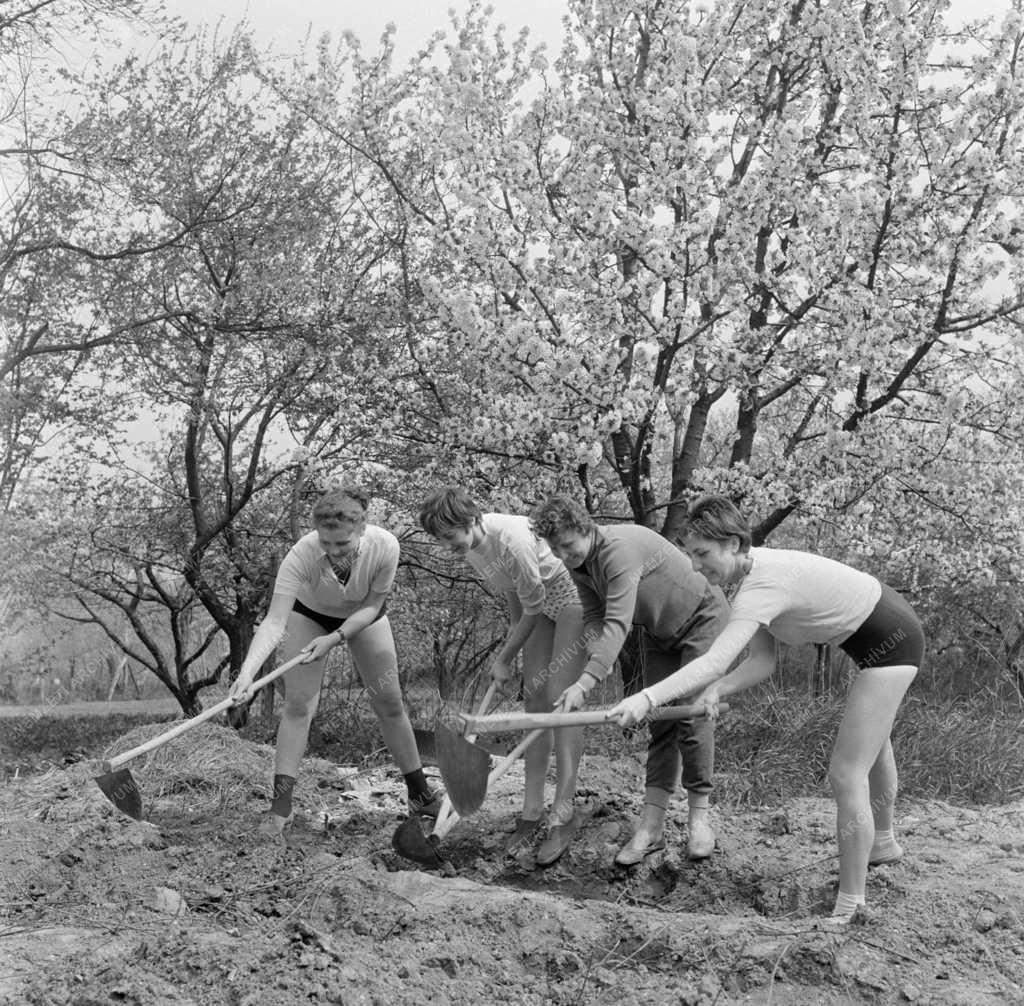 Oktatás - Mezőgazdasági oktatás a Móricz Zsigmond leánygimnáziumban