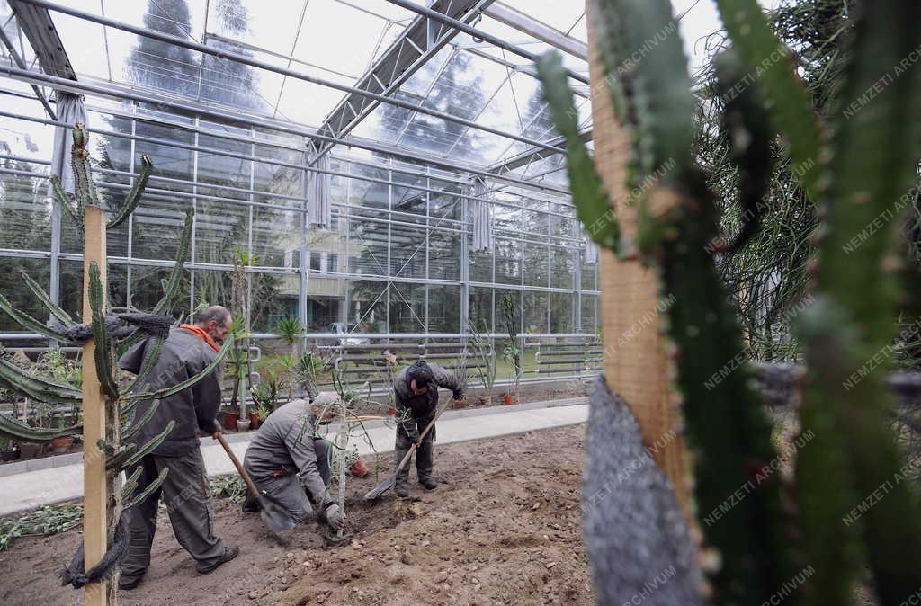 Épület - Debrecen - Új üvegház a botanikus kertben