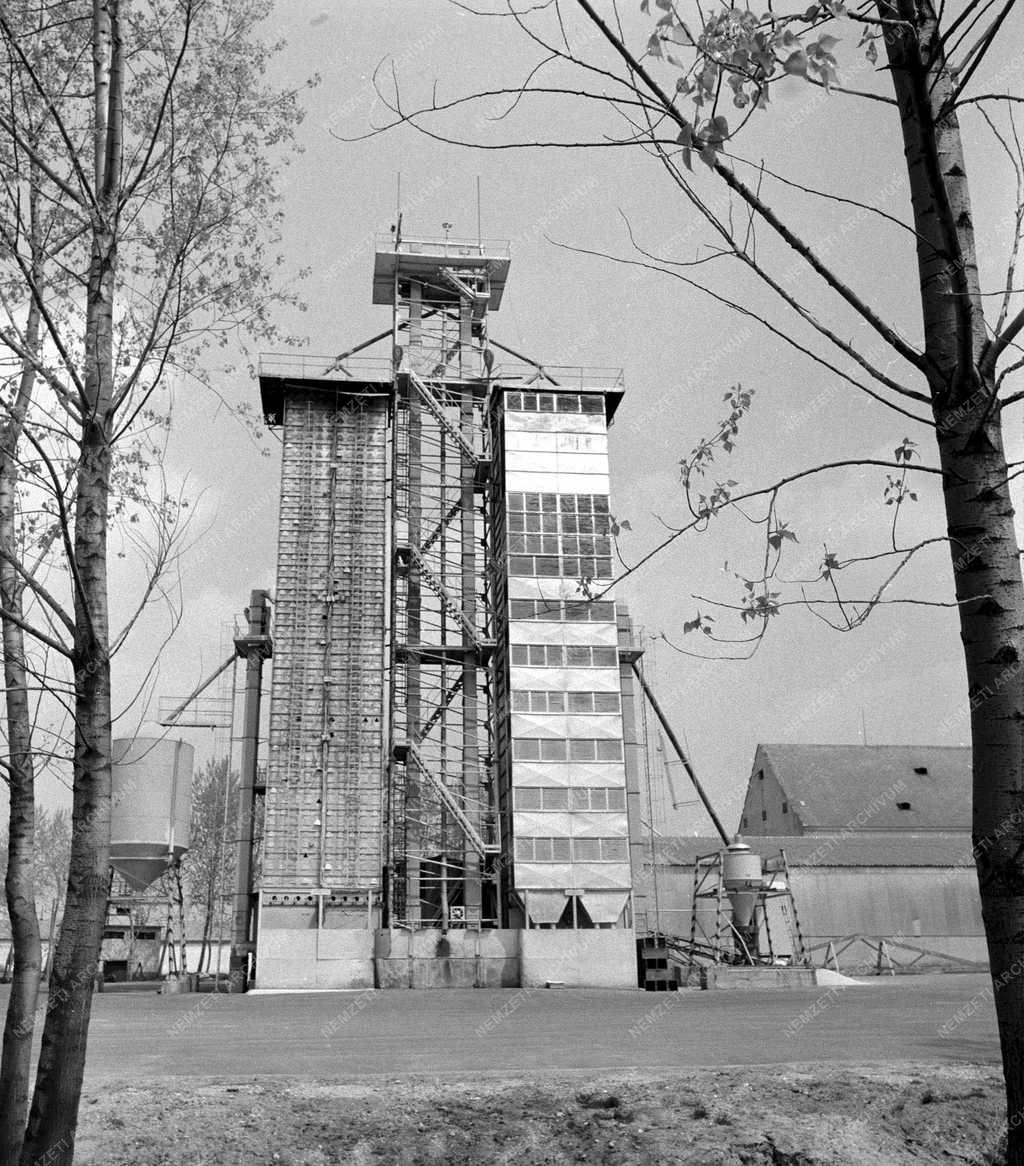 Pénzügy –Eredményes évet zárt a Bábolnai Mezőgazdasági Kombinát