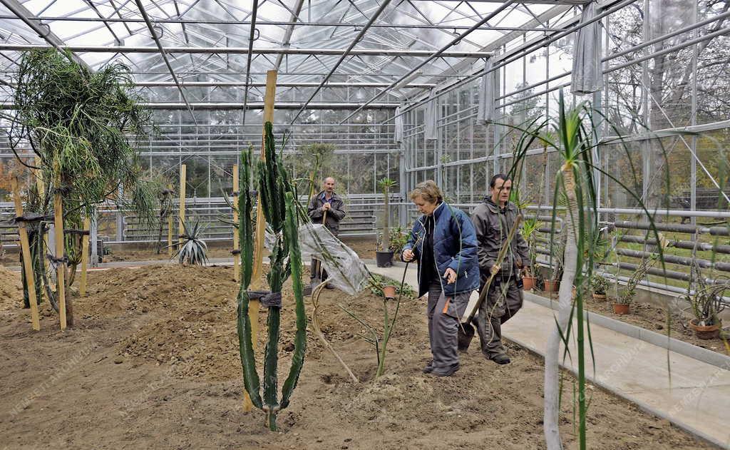 Épület - Debrecen - Új üvegház a botanikus kertben