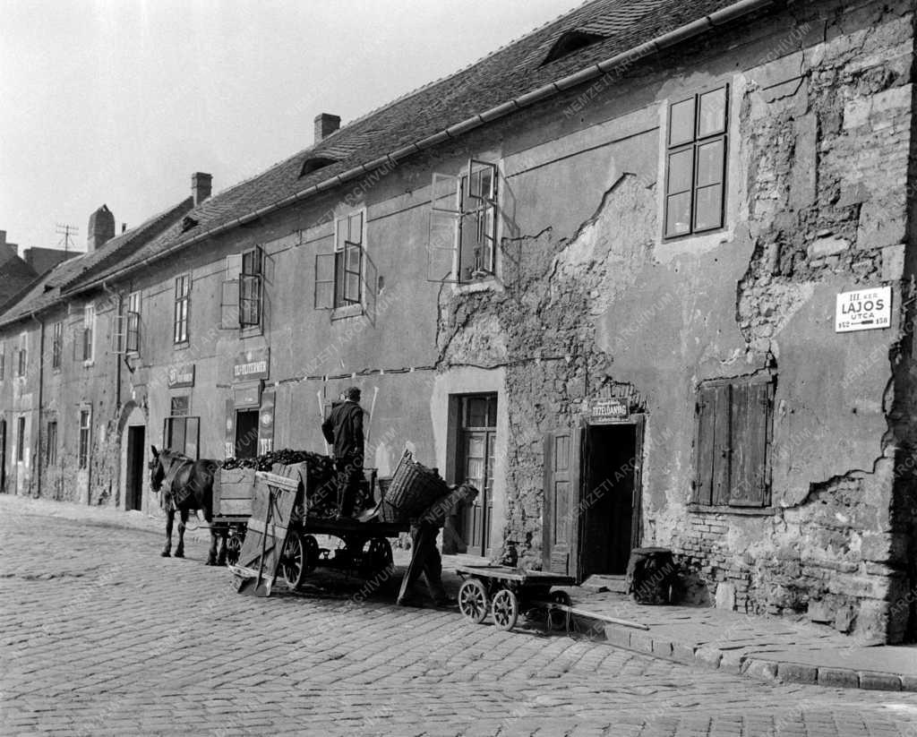 Városkép - Óbudai látkép